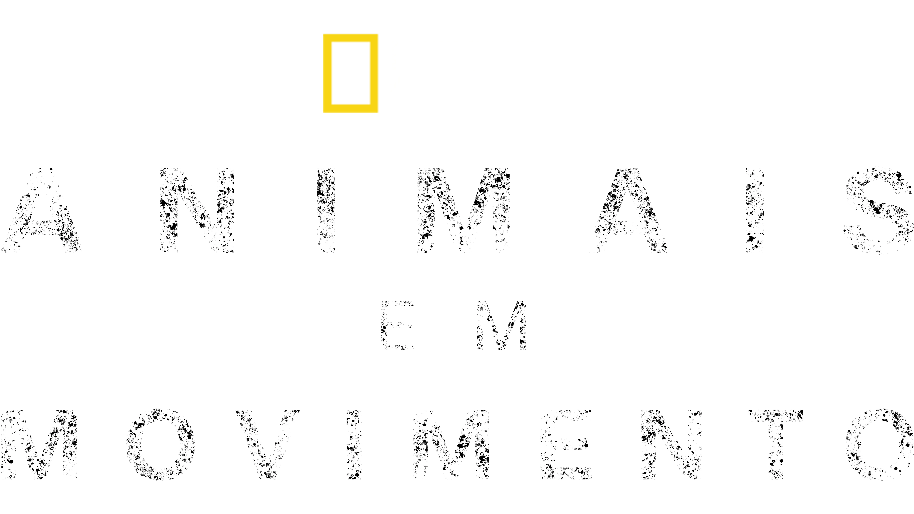 Animais em Movimento