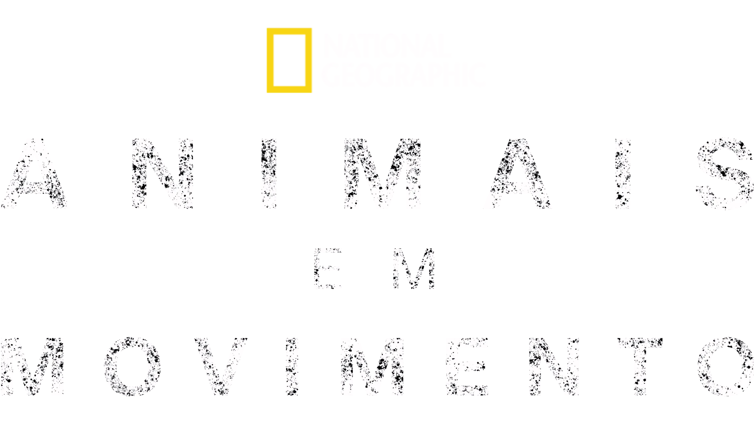 Animais em Movimento