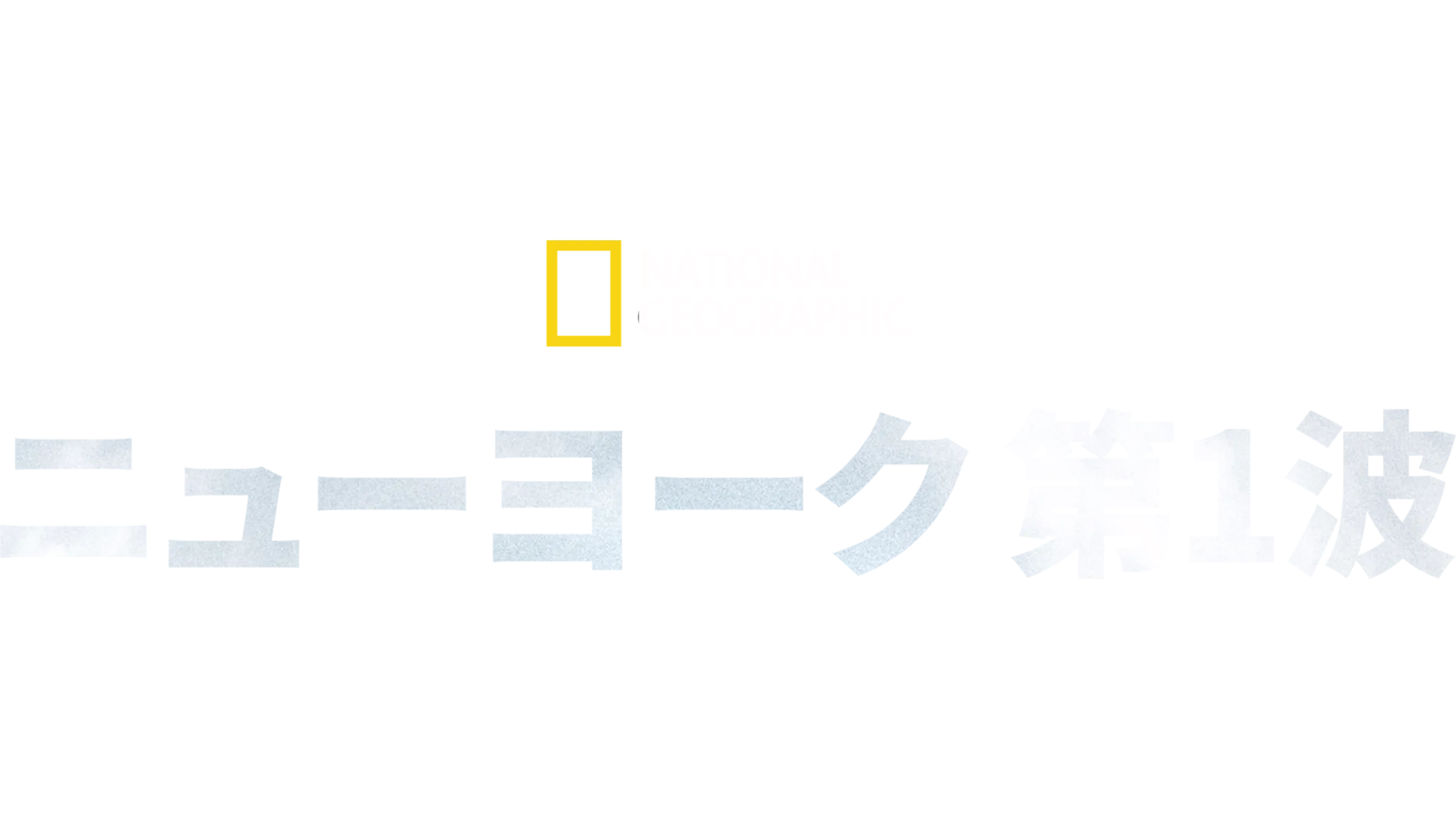 ニューヨーク 第1波