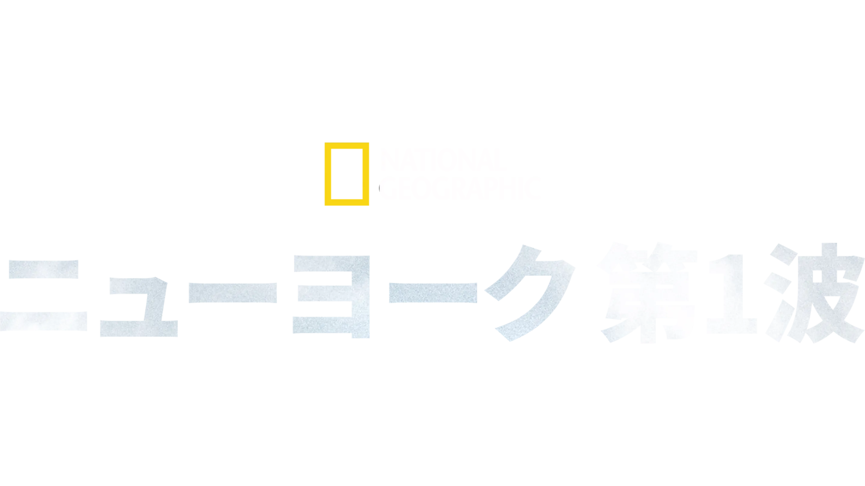 ニューヨーク 第1波