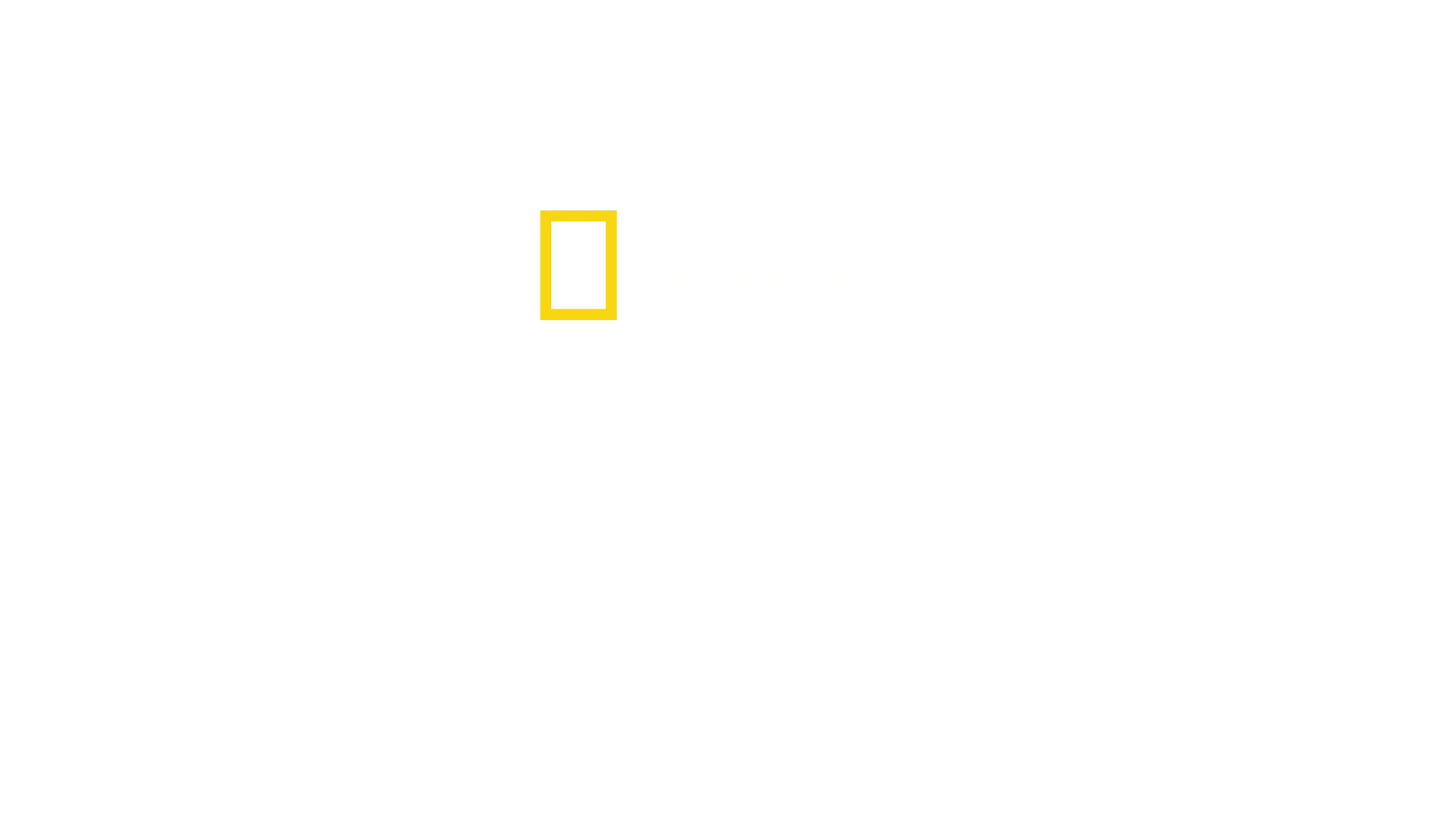 Sri Lanka: Leopard Dynasty
