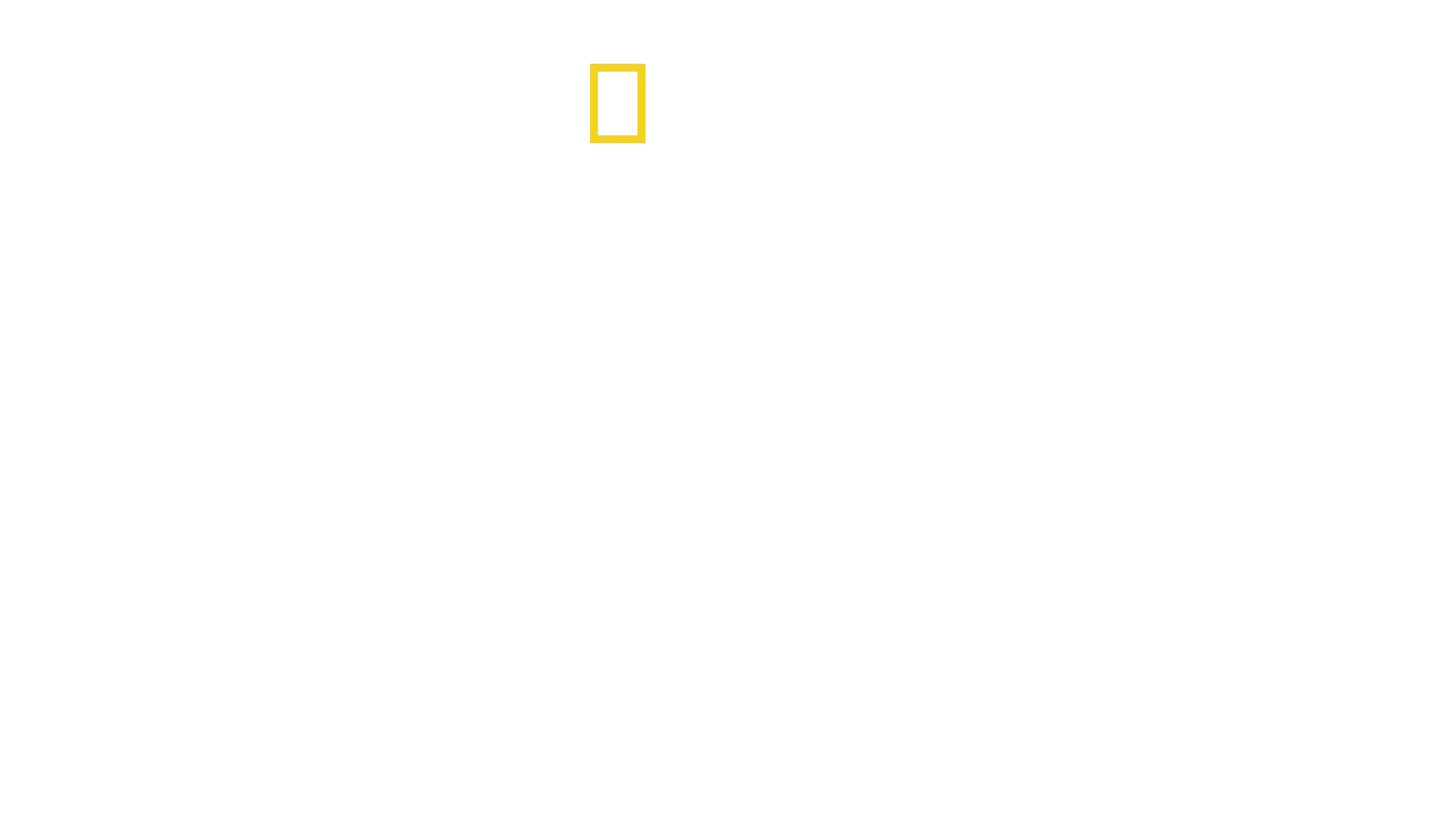 Chinas Geschichte von oben