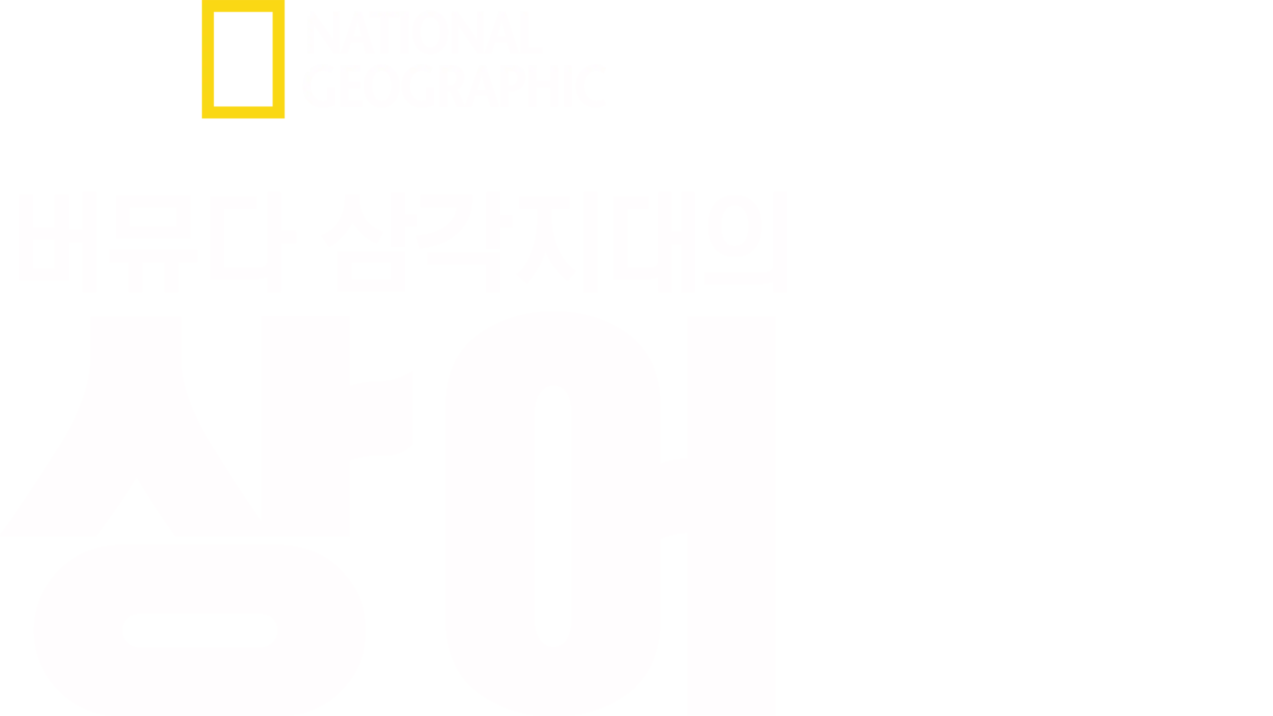 버뮤다 삼각지대의 상어