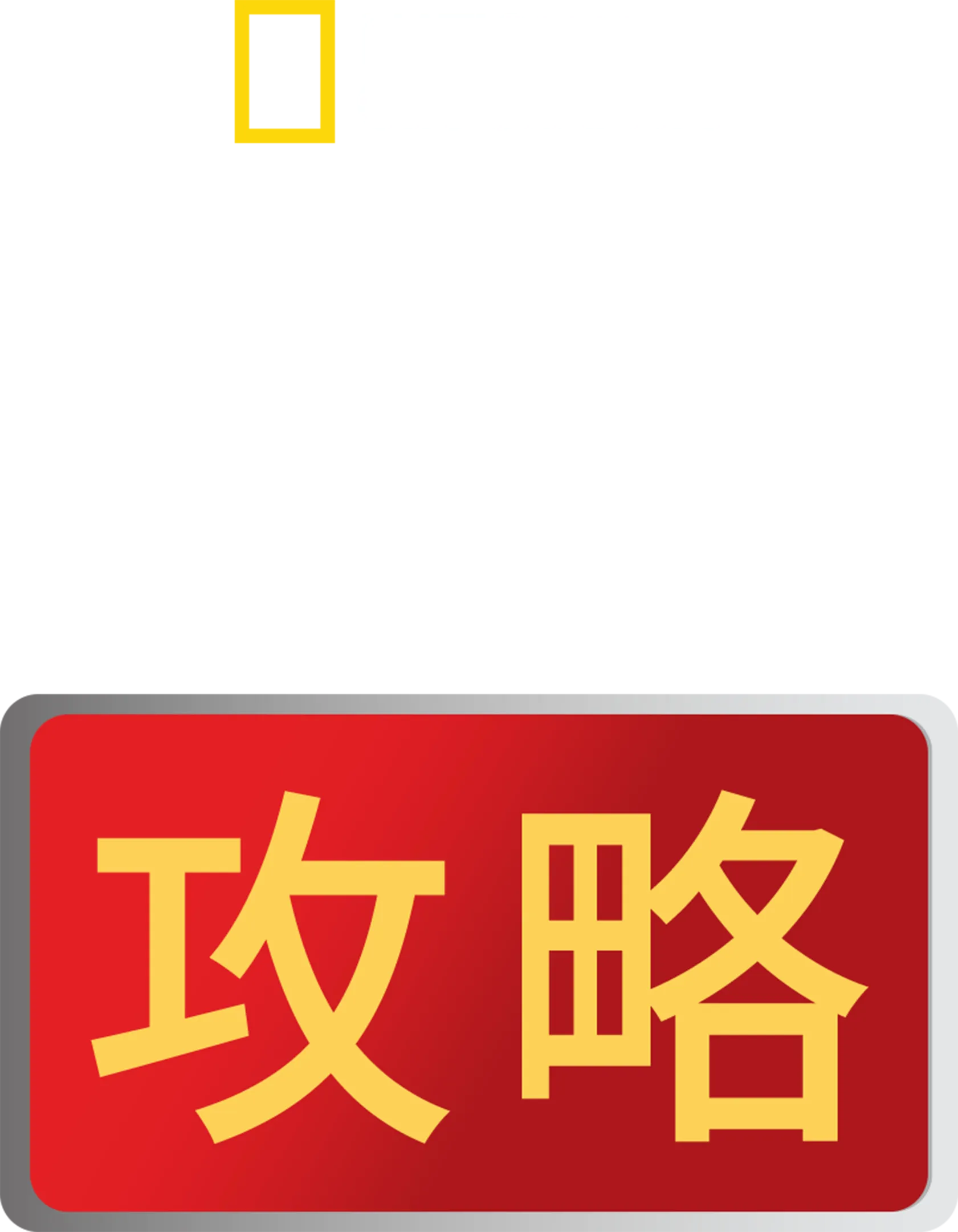 必勝攻略