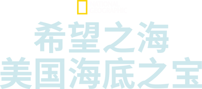 希望之海：美国海底之宝