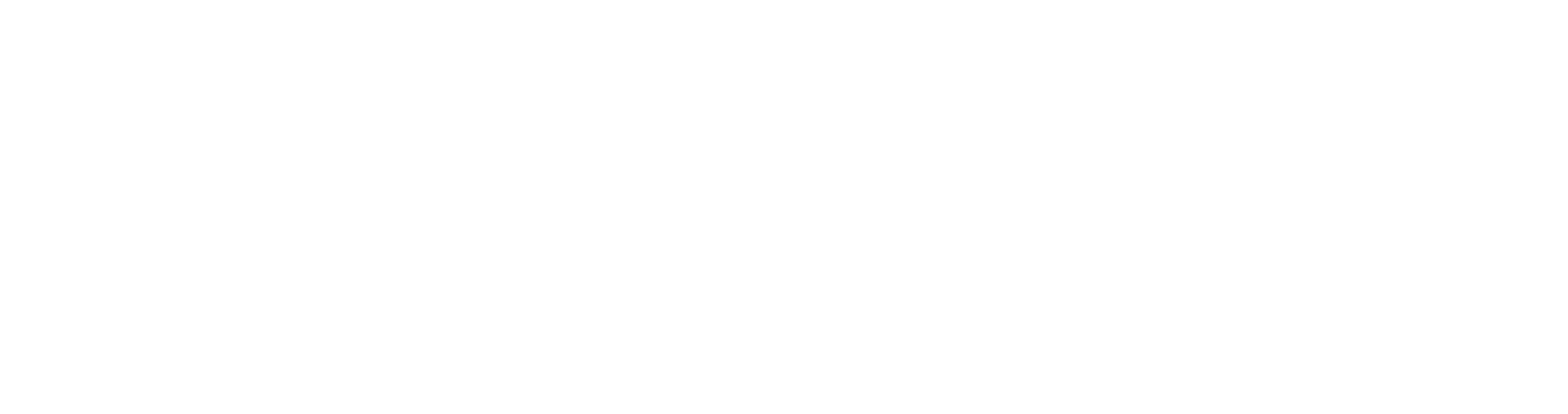 スターは駐車係に恋をする