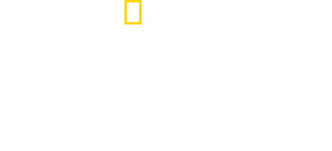 Volcanes y tiburones: Hawái