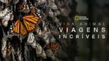 thumbnail - Viagens Incríveis de Animais