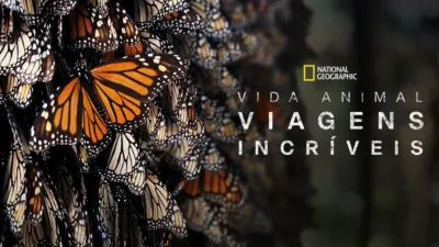 Viagens Incríveis de Animais