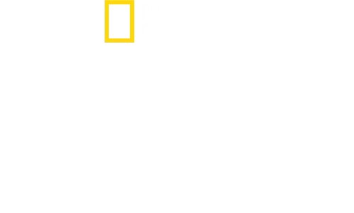 Fiennes: esplorando la vita