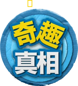 奇趣真相