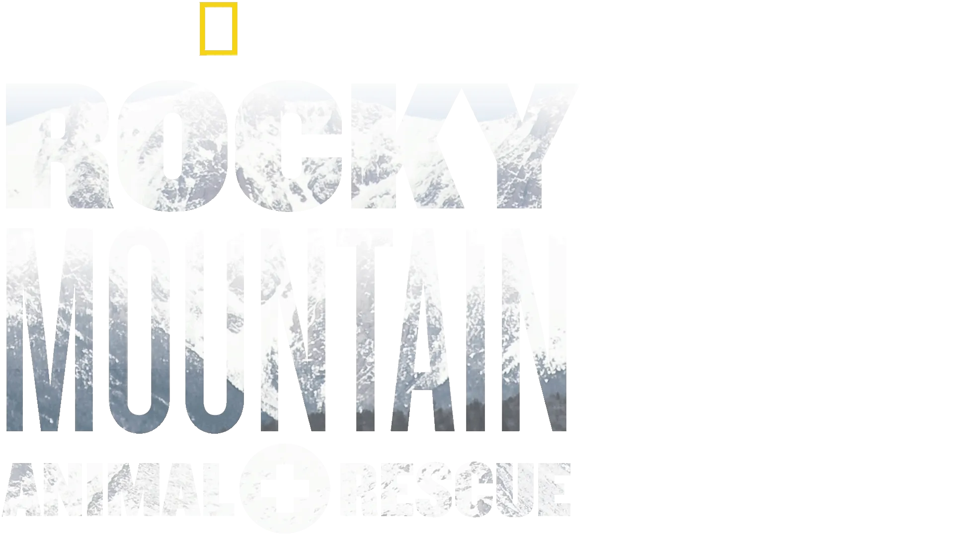 Rocky Mountain Animal Rescue