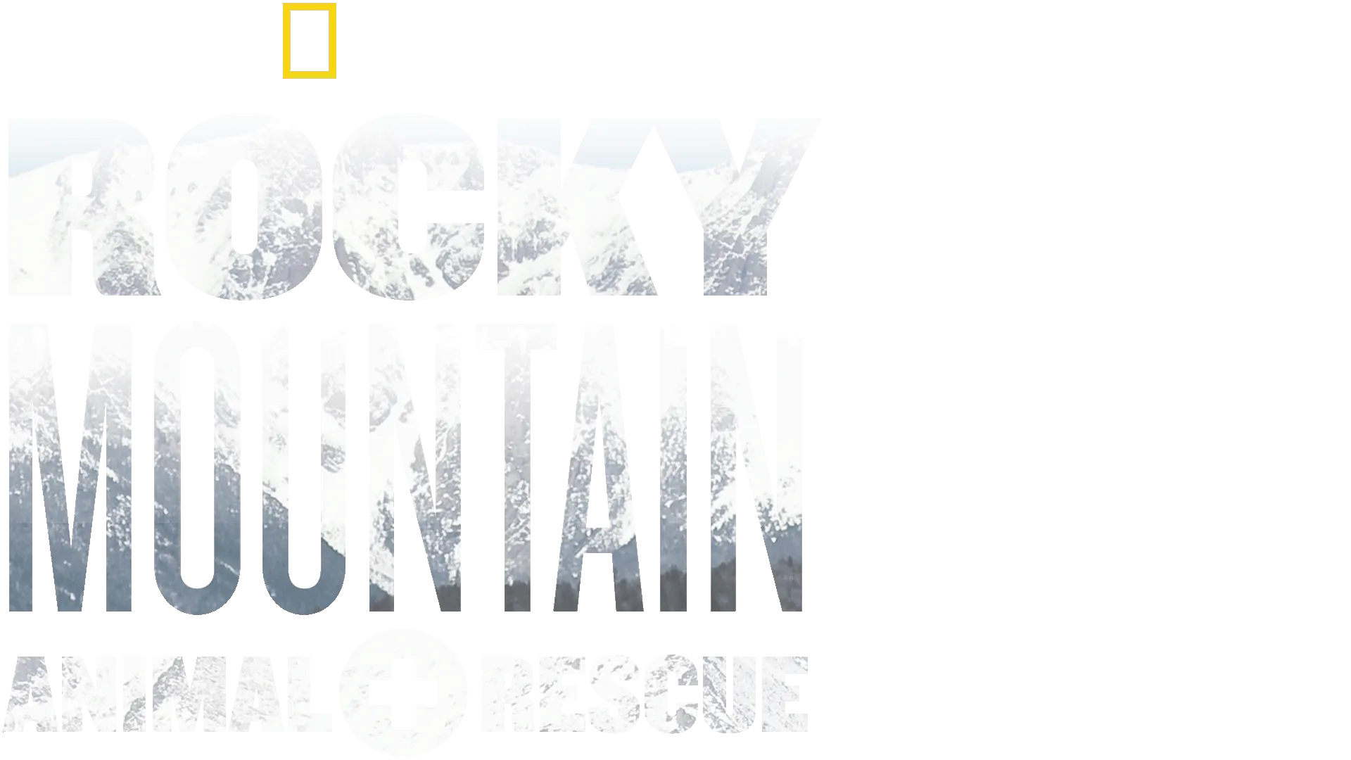 Rocky Mountain Animal Rescue