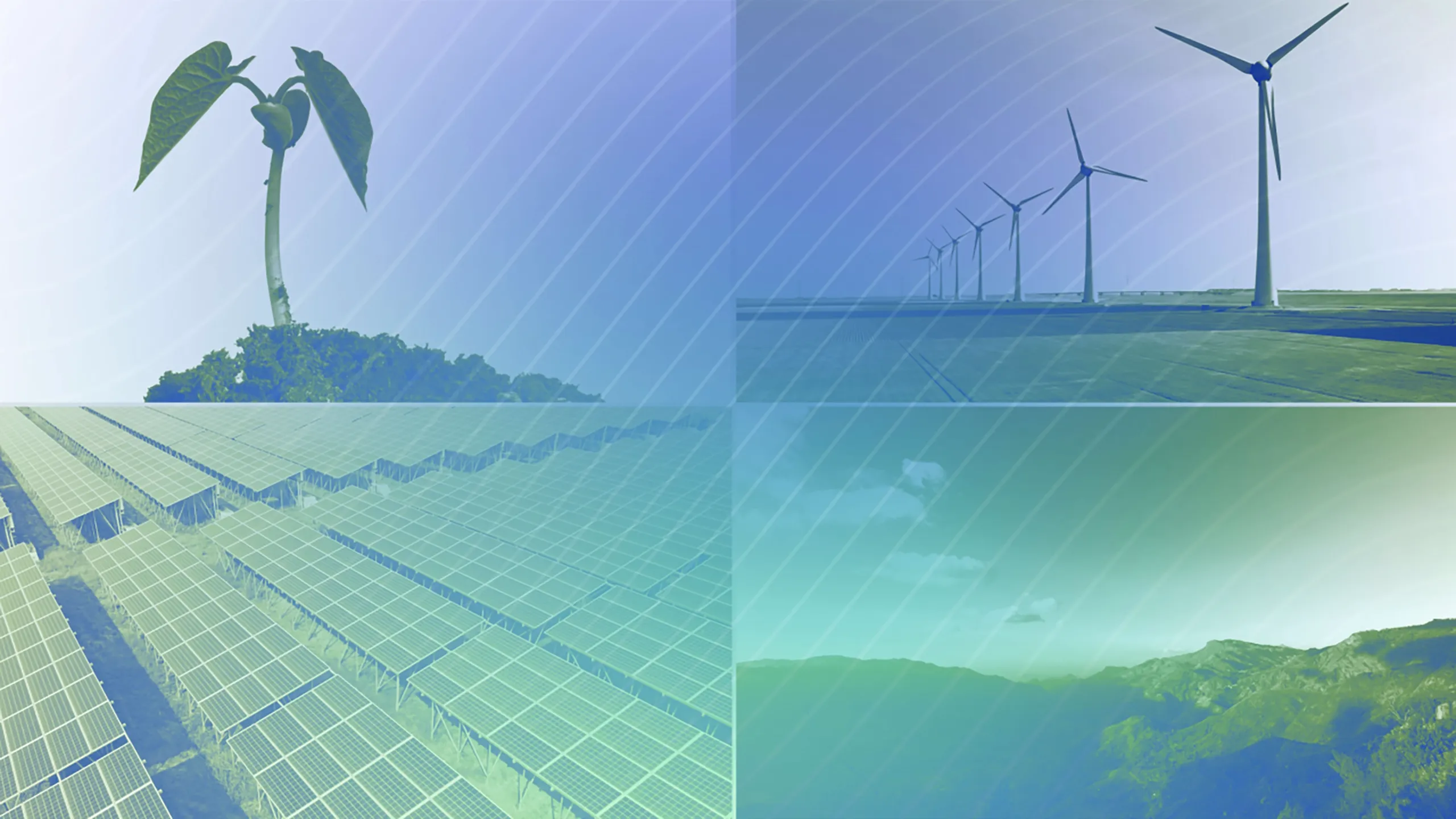 It's Not Too Late: Earth Day Special