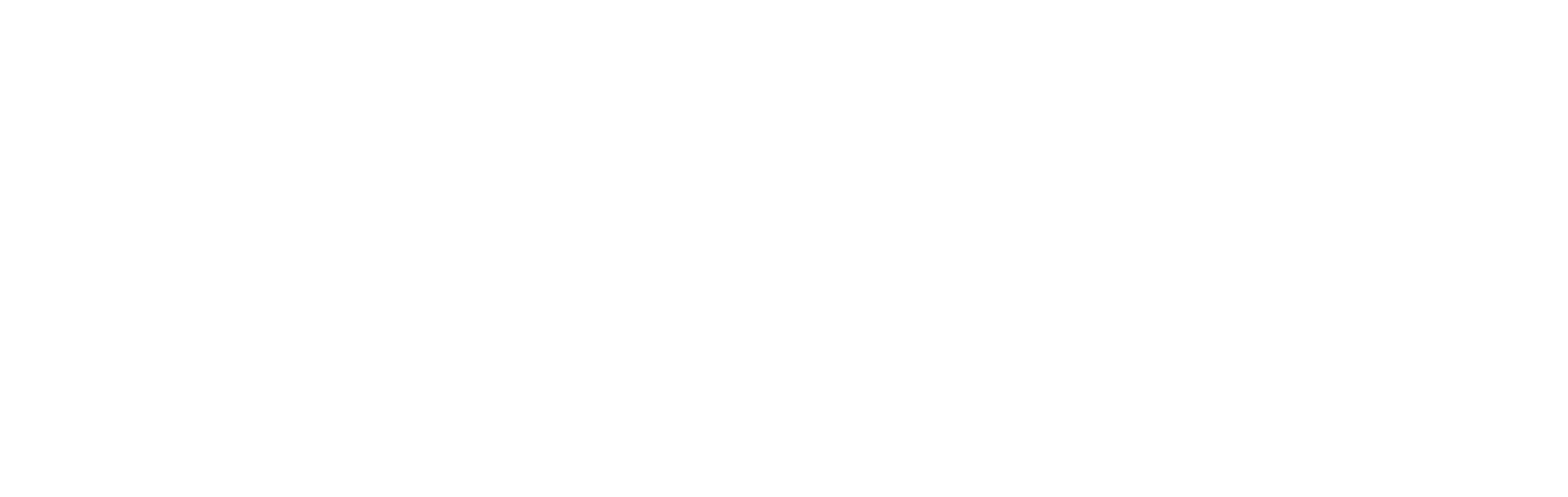 Spy - Susan Cooper Undercover