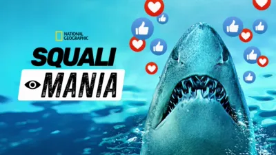 thumbnail - Squali Mania