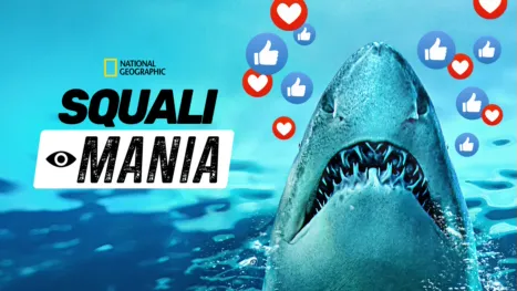 thumbnail - Squali Mania