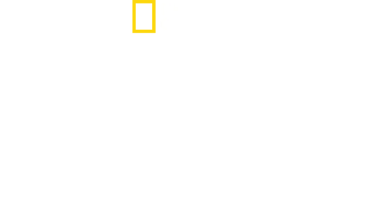 基斯咸士禾夫的鯊魚奇遇