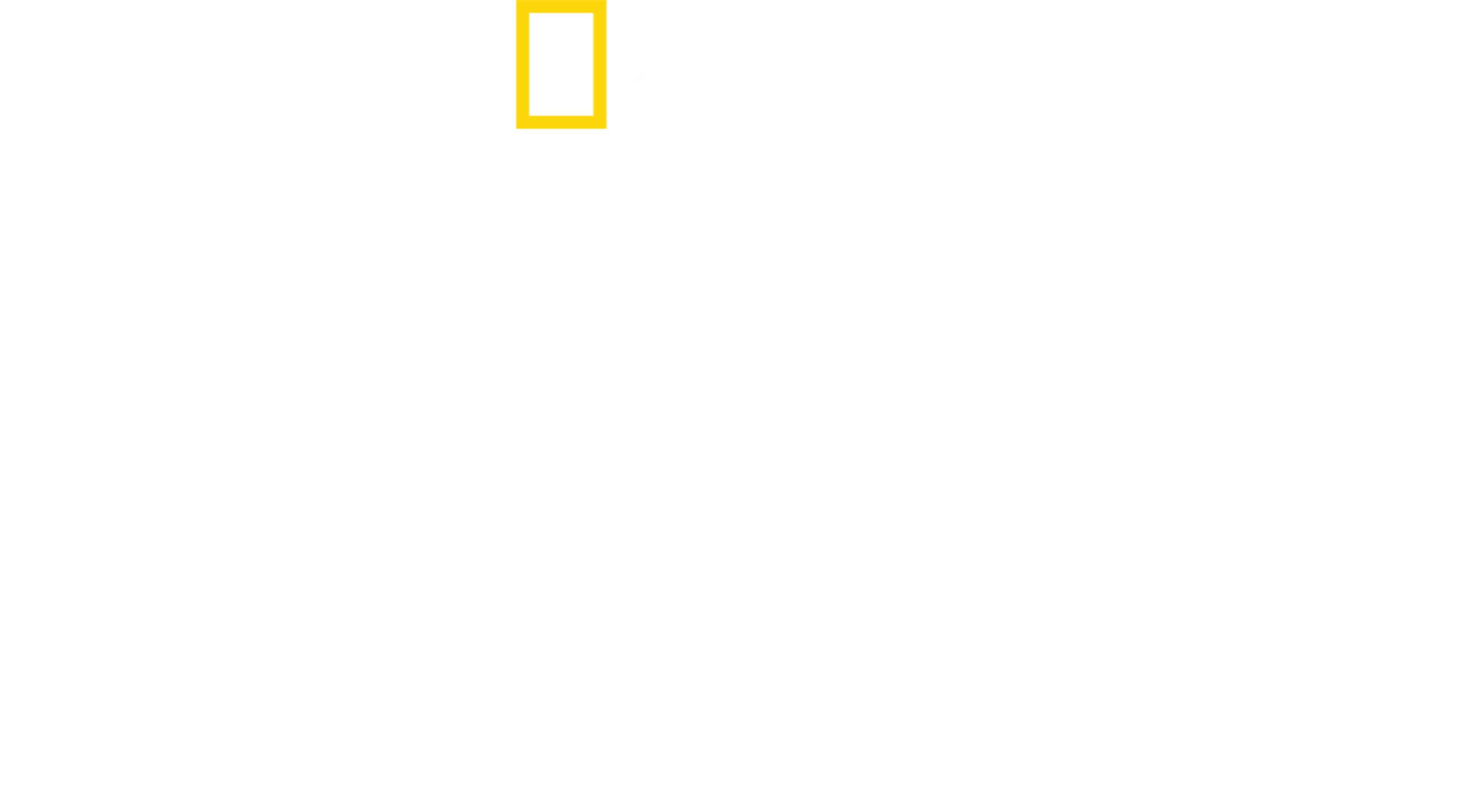 基斯咸士禾夫的鯊魚奇遇
