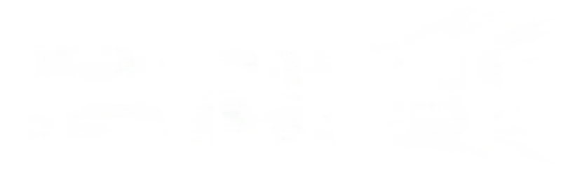 빌리지