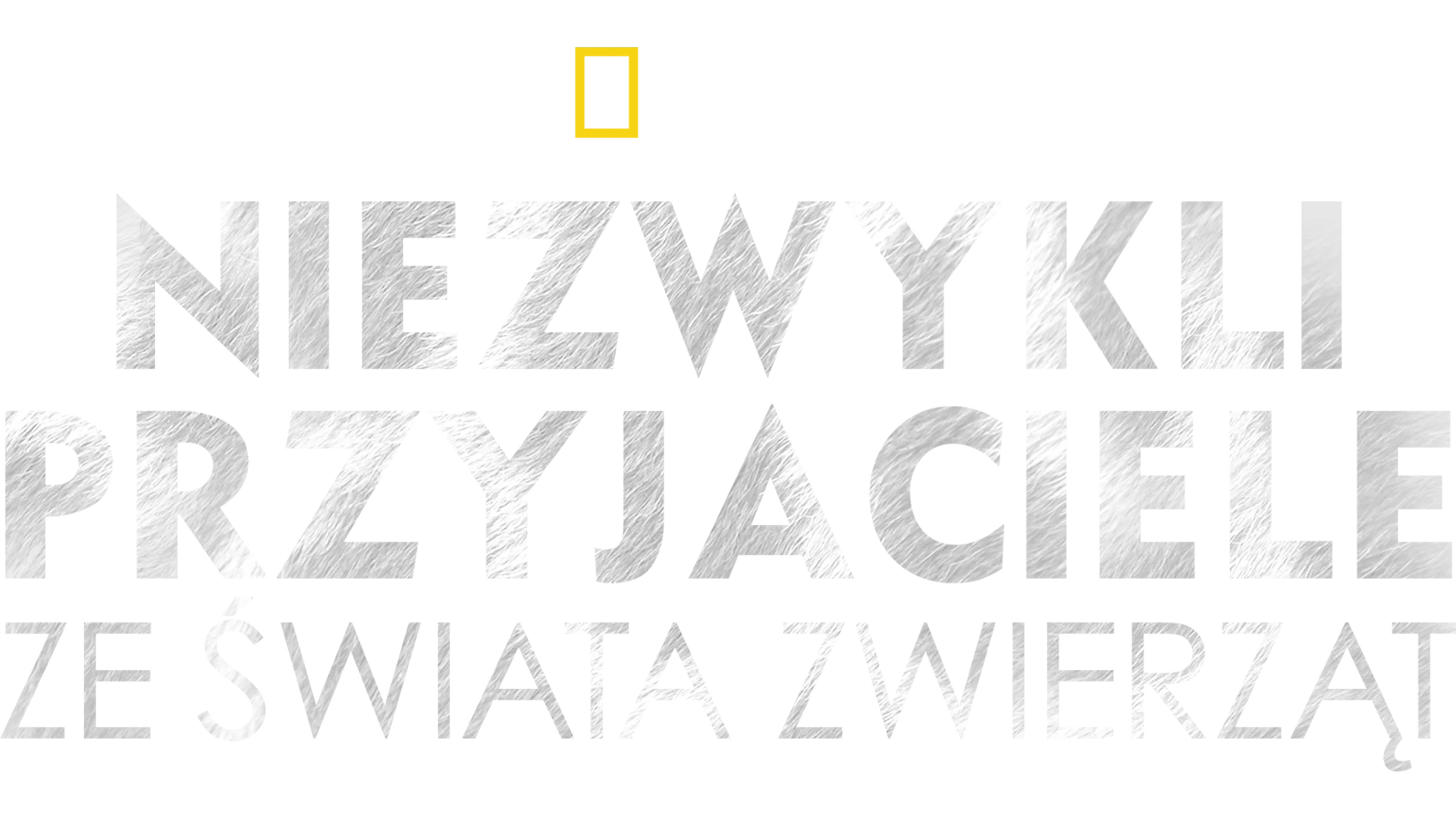 Niezwykli przyjaciele ze świata zwierząt