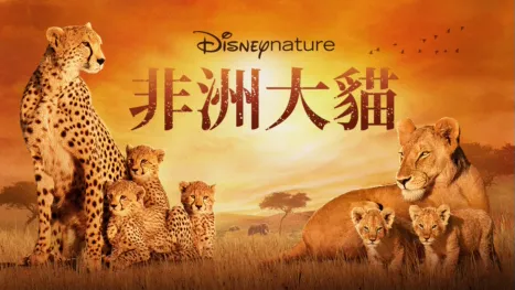 thumbnail - 非洲大貓