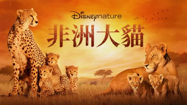 thumbnail - 非洲大貓