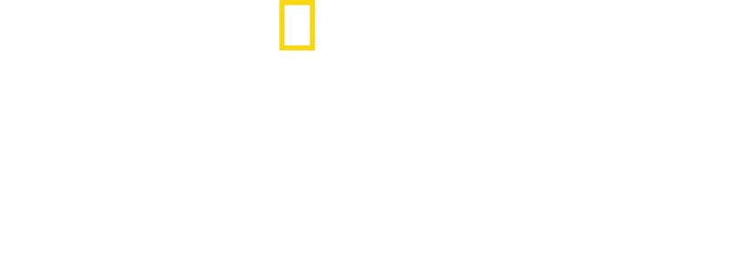 Ναρκωτικά Α.Ε.: Η Πλευρά του Διακινητή
