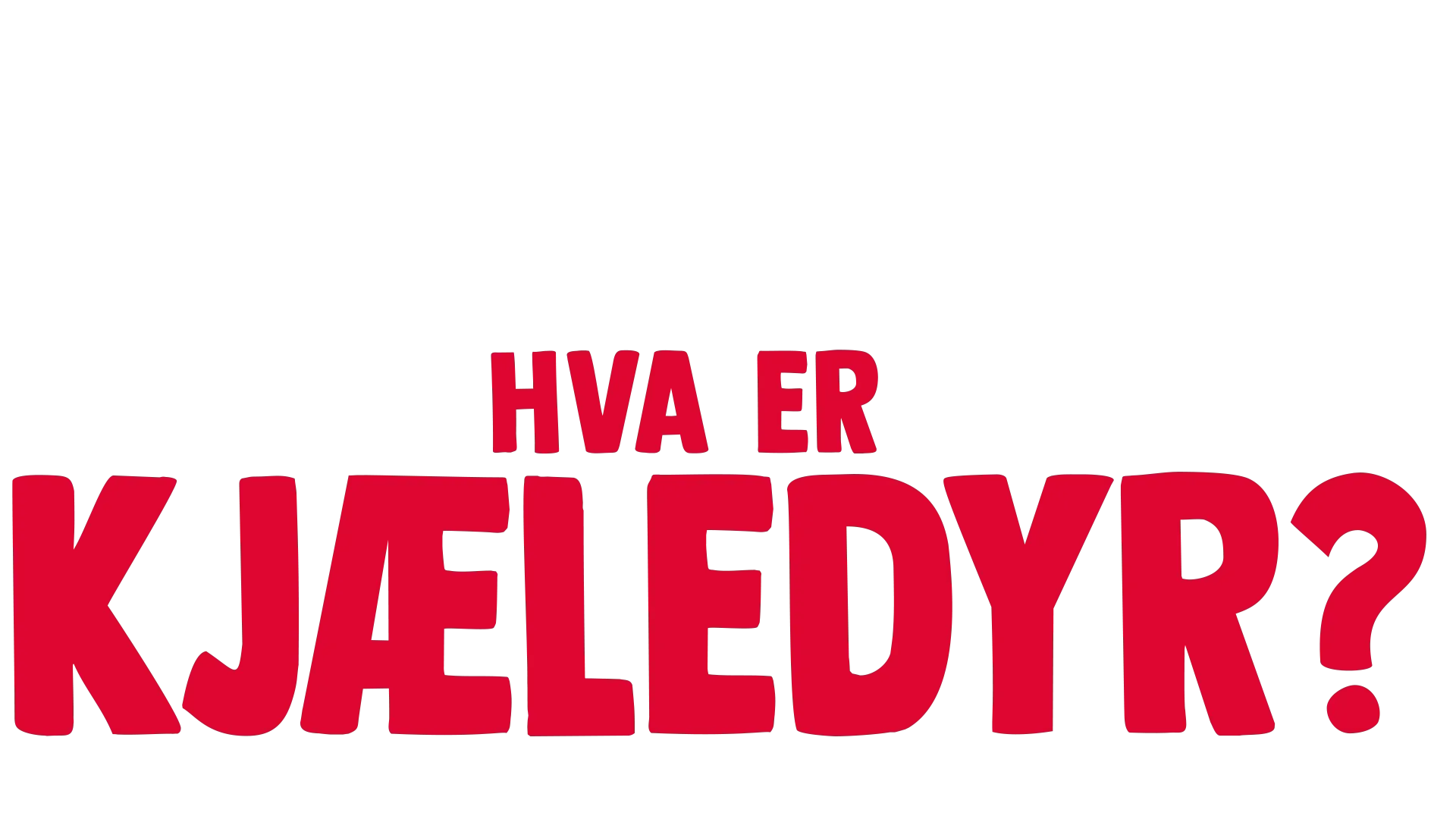 Gaffen har et spørsmål: Hva er kjæledyr?
