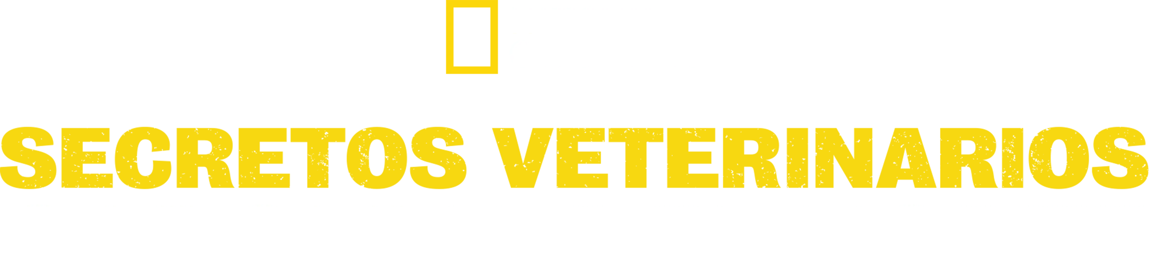Secretos veterinarios: Carolina del Norte
