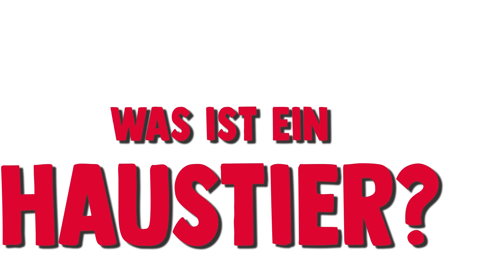 Forky hat eine Frage -Was ist ein Haustier?