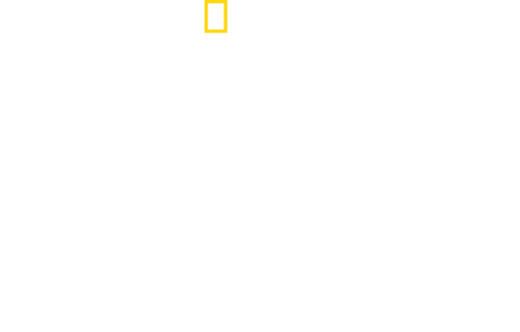 Squali: attacchi seriali