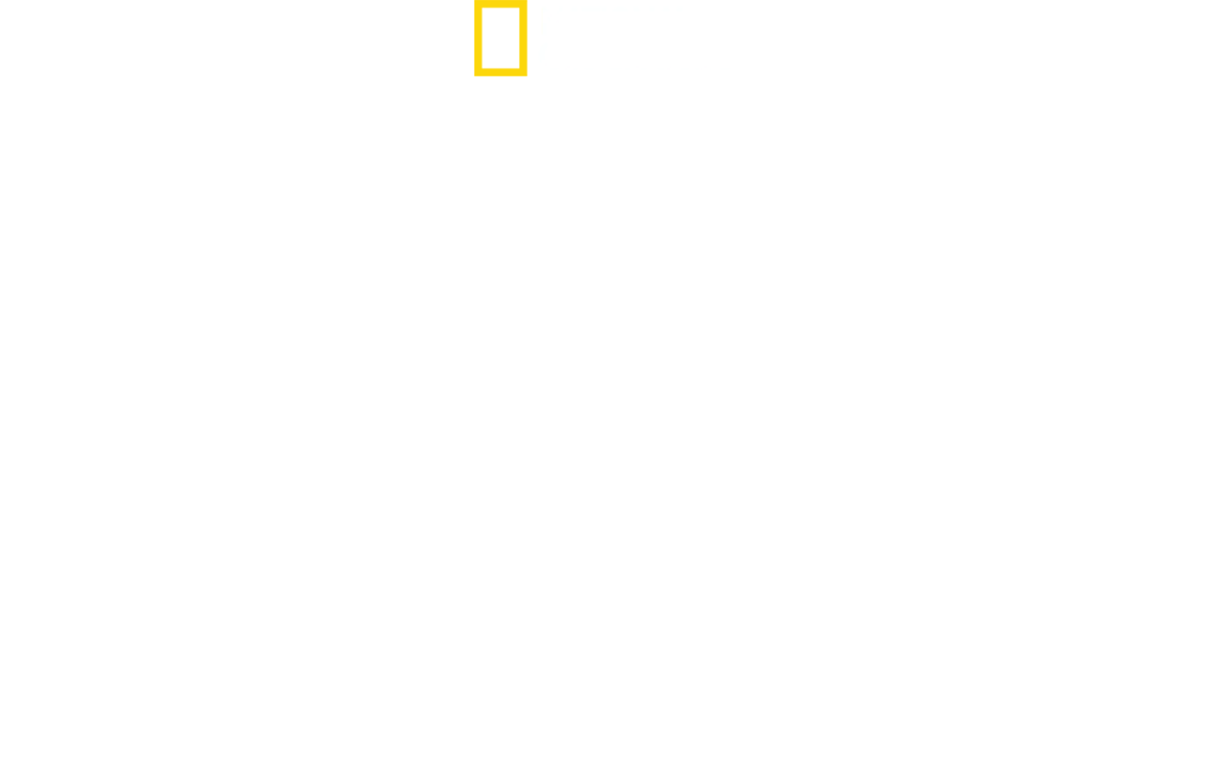 Squali: attacchi seriali