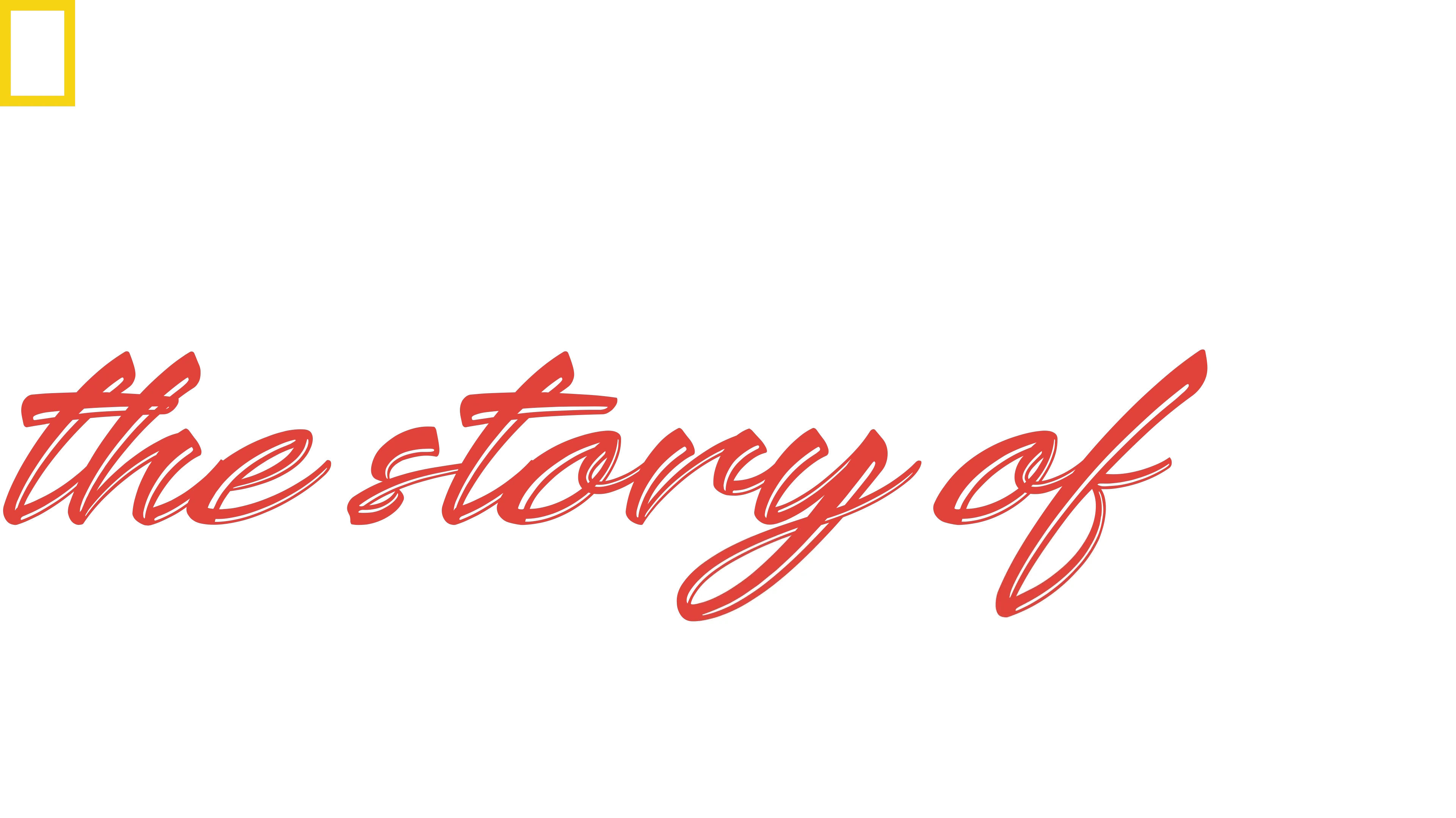 动物神医的故事