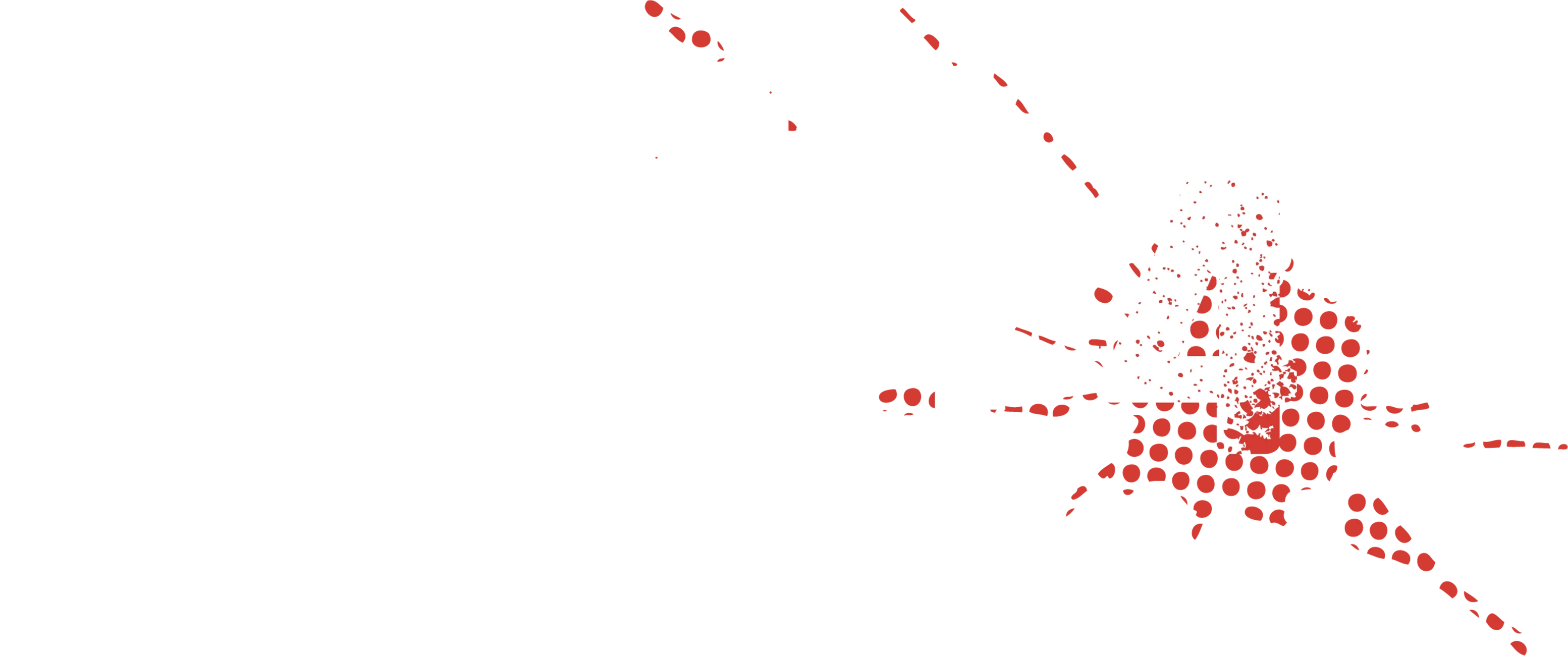 Ip Man 4: The Finale