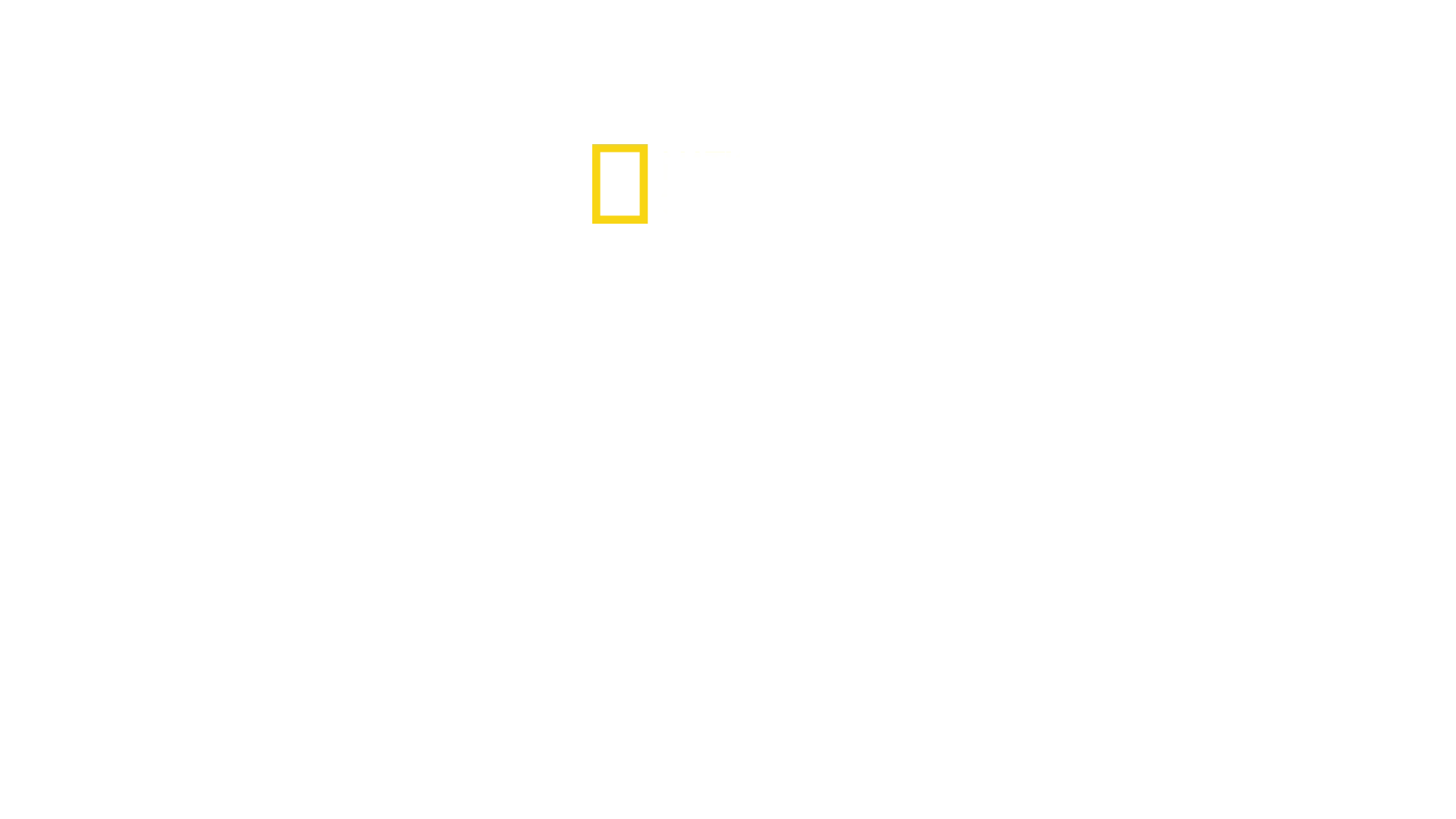 Os Tubarões Mais Perigosos
