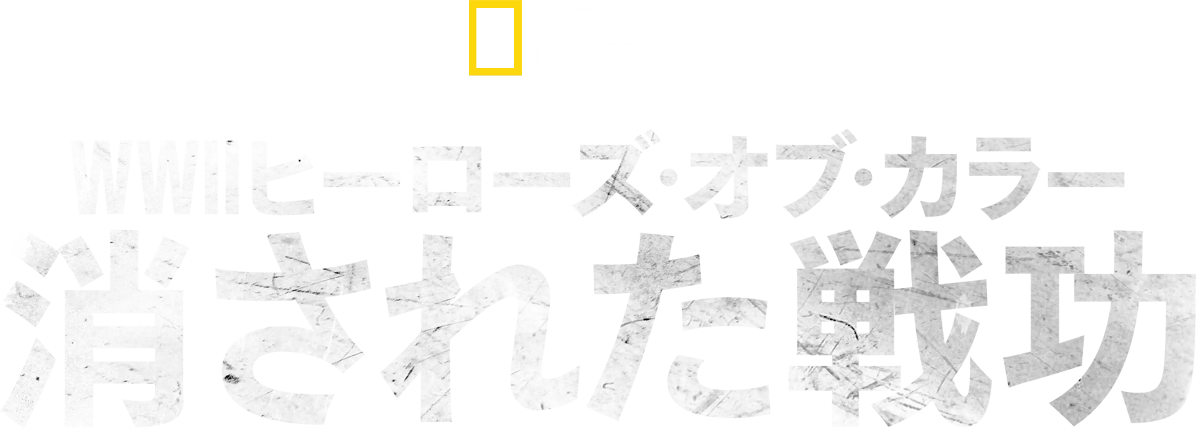 WWⅡヒーローズ・オブ・カラー：消された戦功