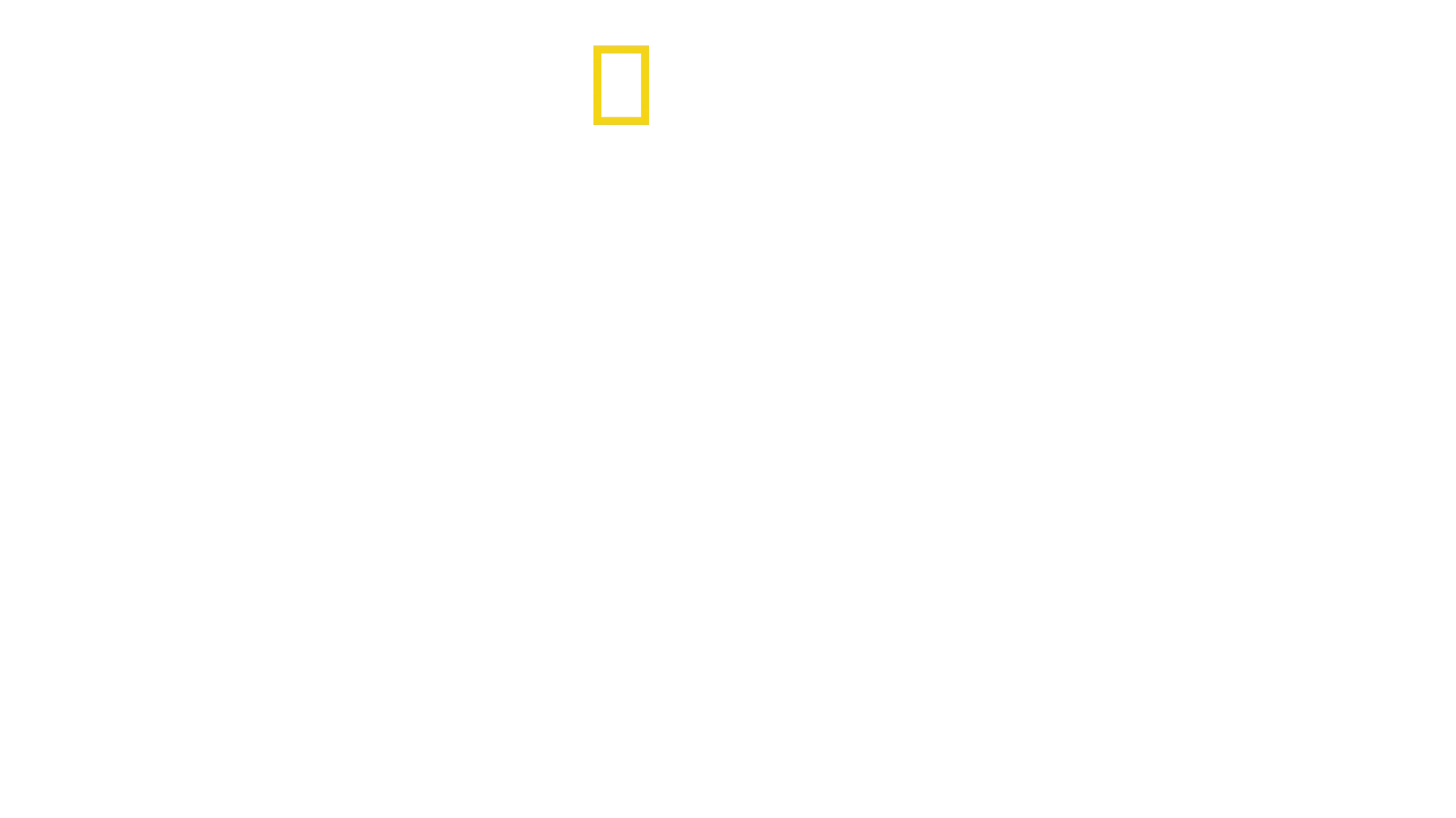 Hitler’s Last Stand