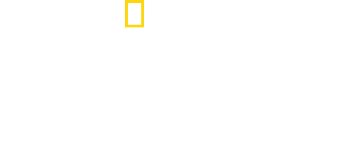 Nordkorea: Før og nu
