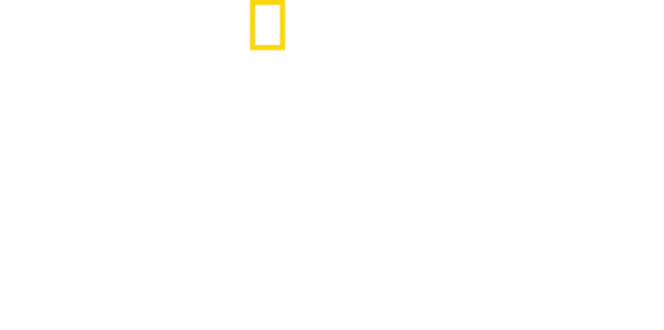 Wojenna szkoła przetrwania