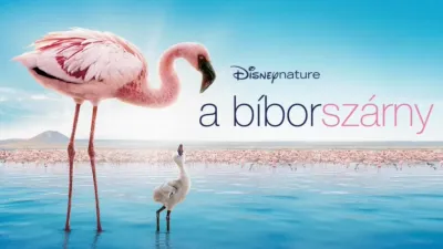 thumbnail - A Bíbor szárny