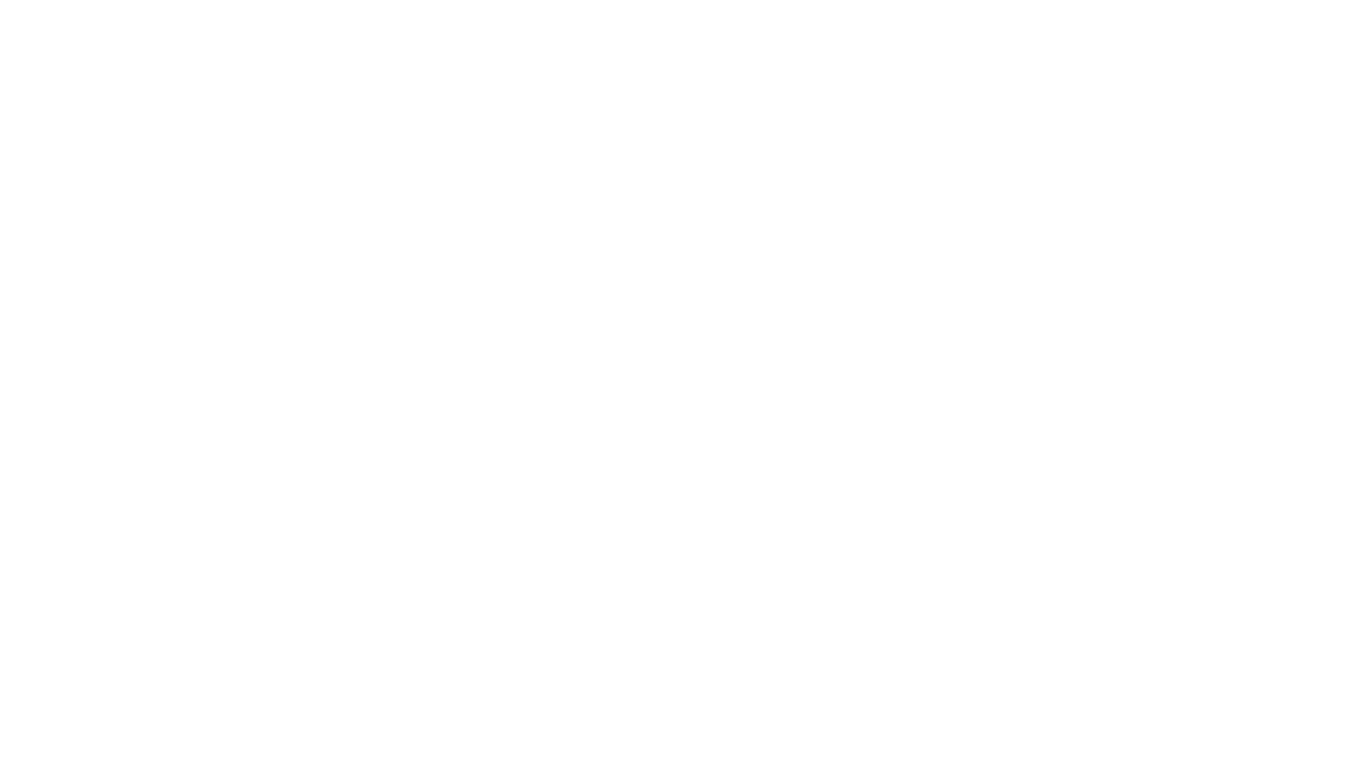 A Última Diligência