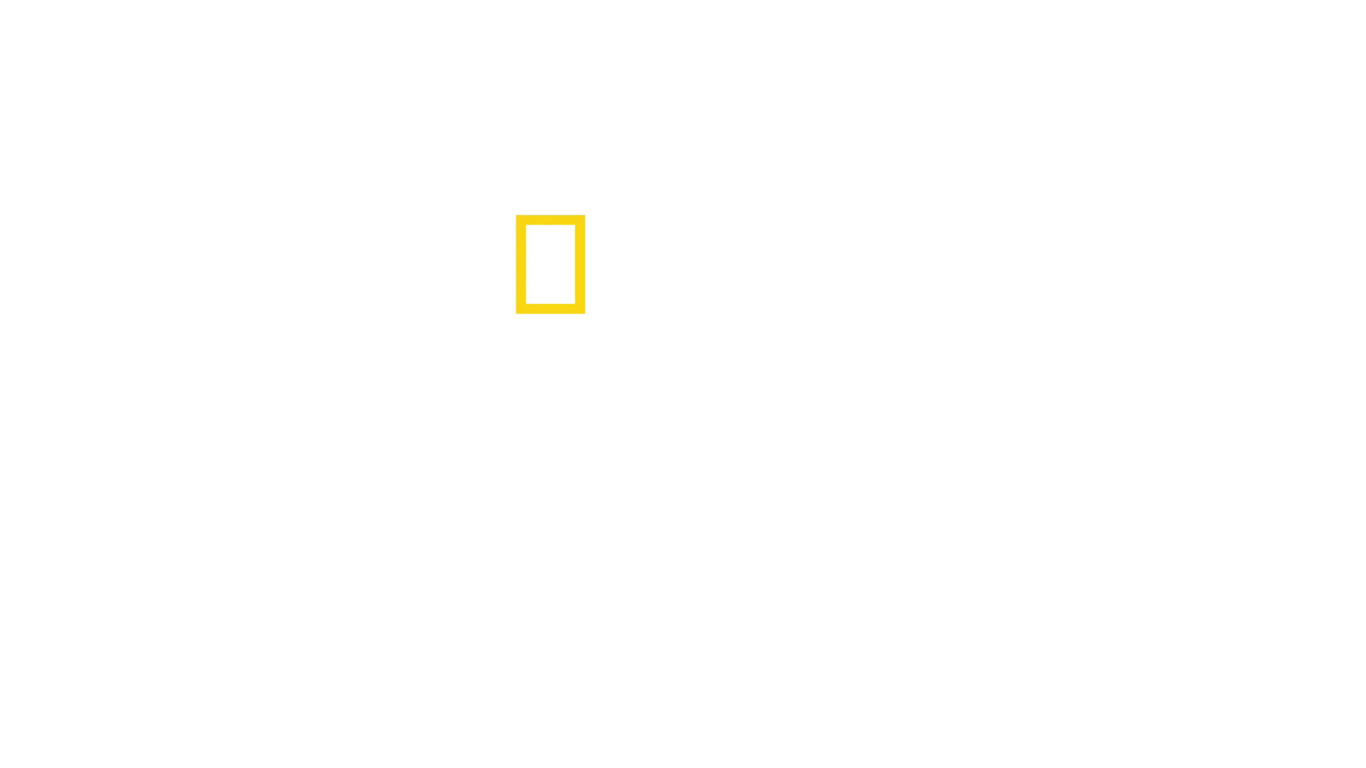 LAGO TANGANICA: IL CUORE BLU DELL'AFRICA