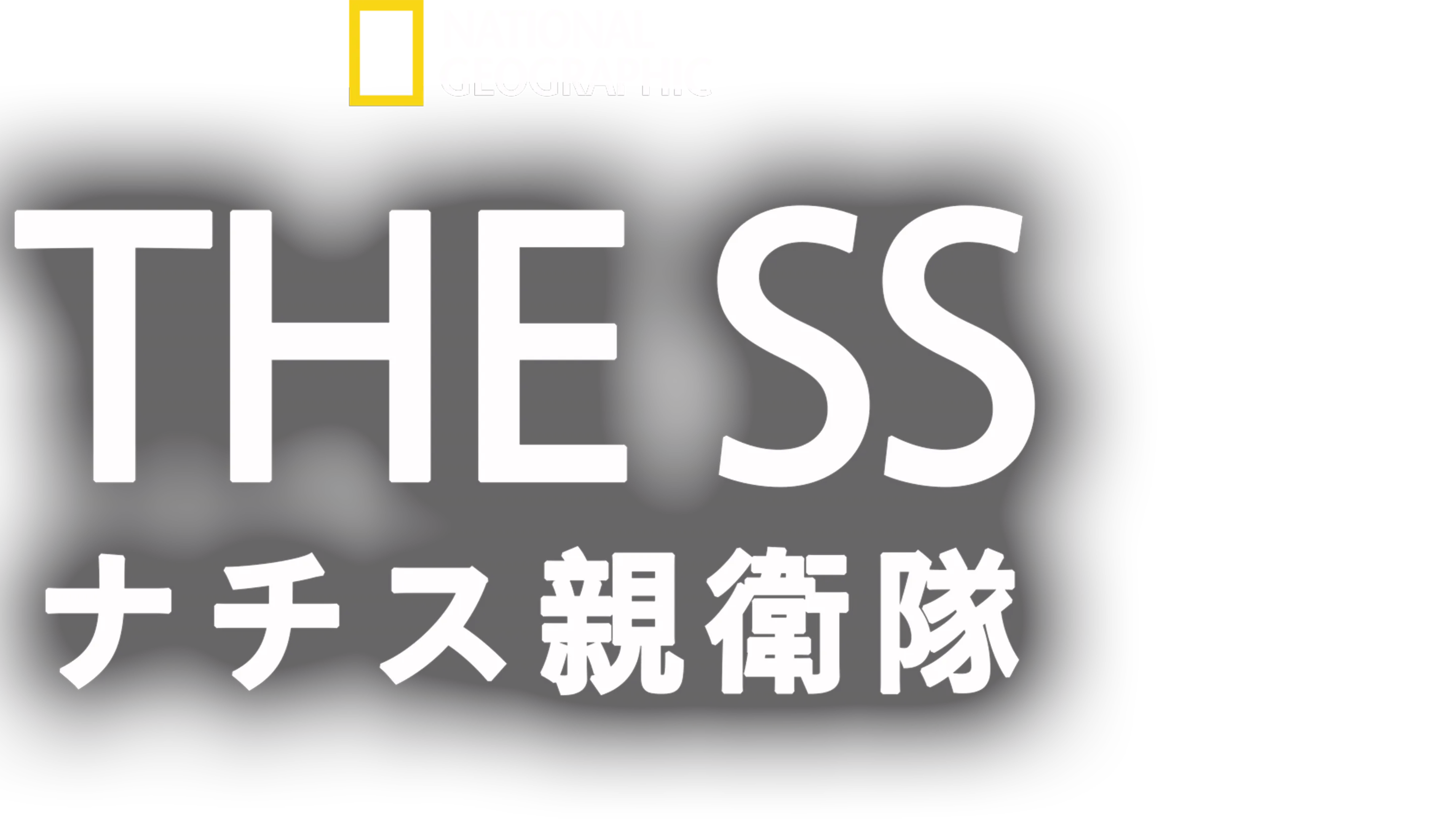 THE SS：ナチス親衛隊