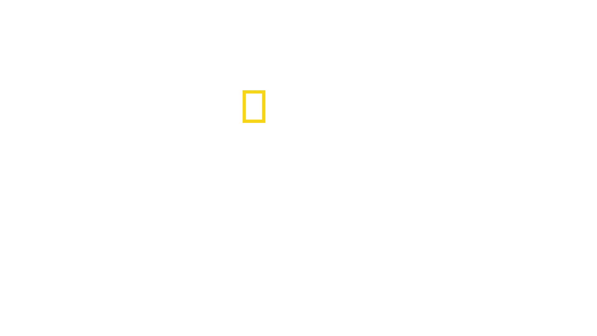 O Negócio da Droga: O dia a dia de um dealer