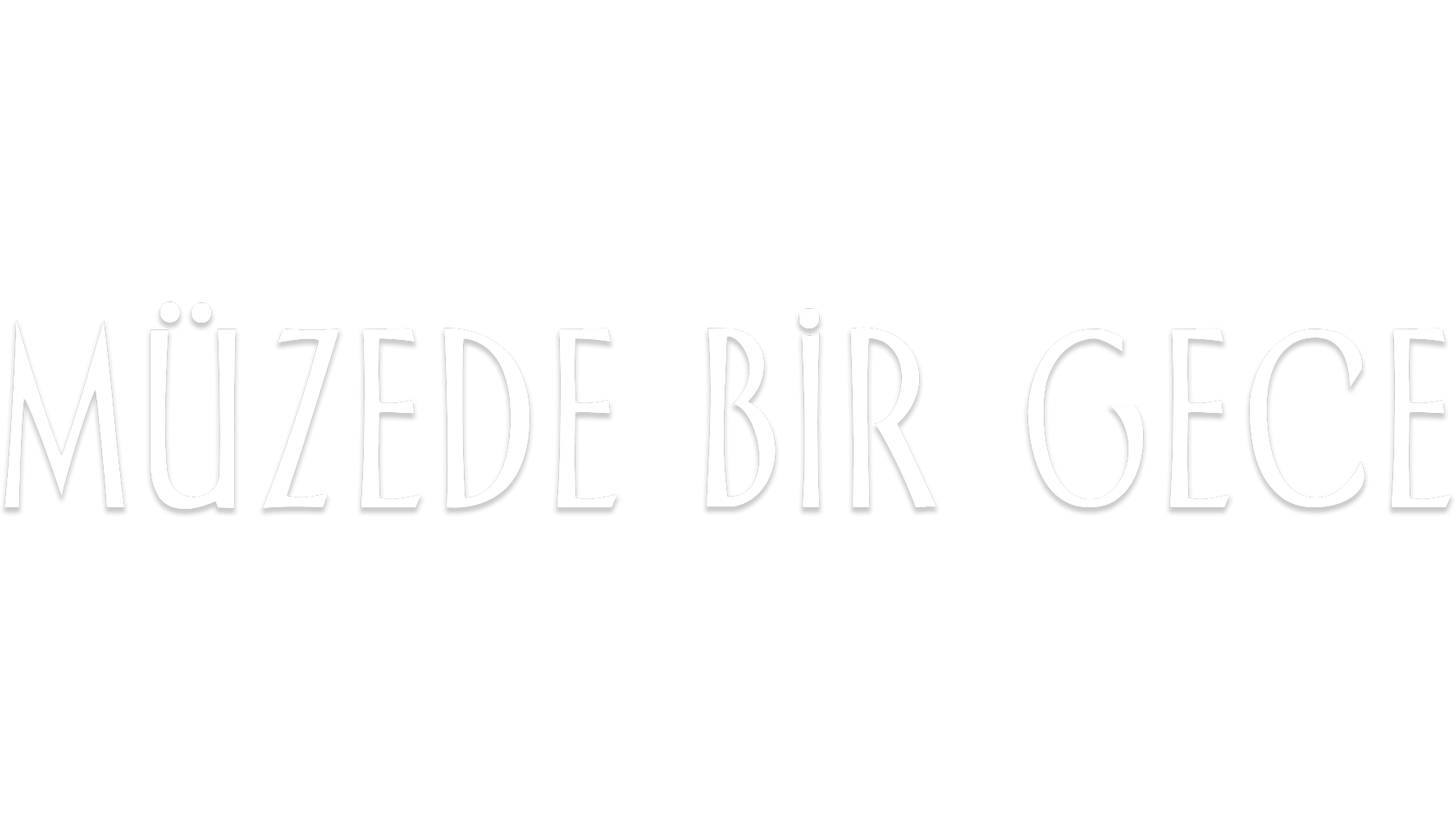 Müzede Bir Gece