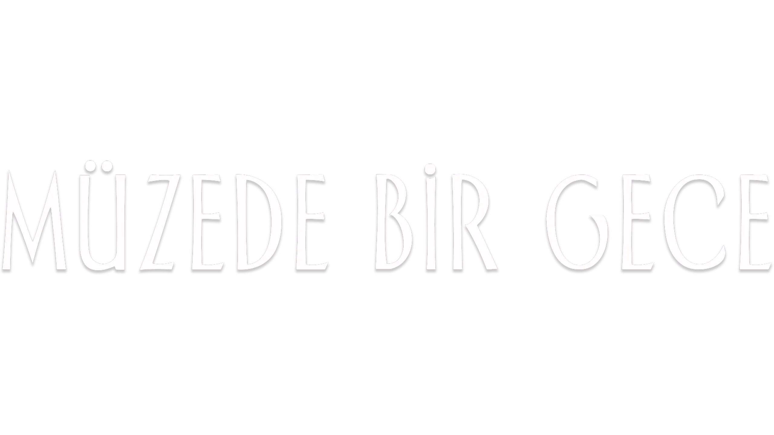 Müzede Bir Gece