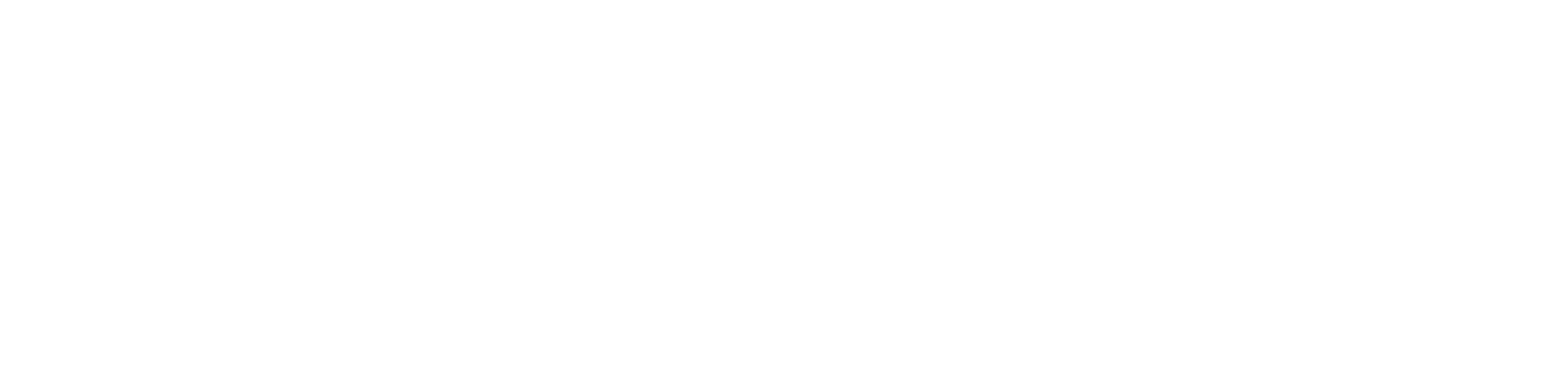 Μπιζάρντβαρκ