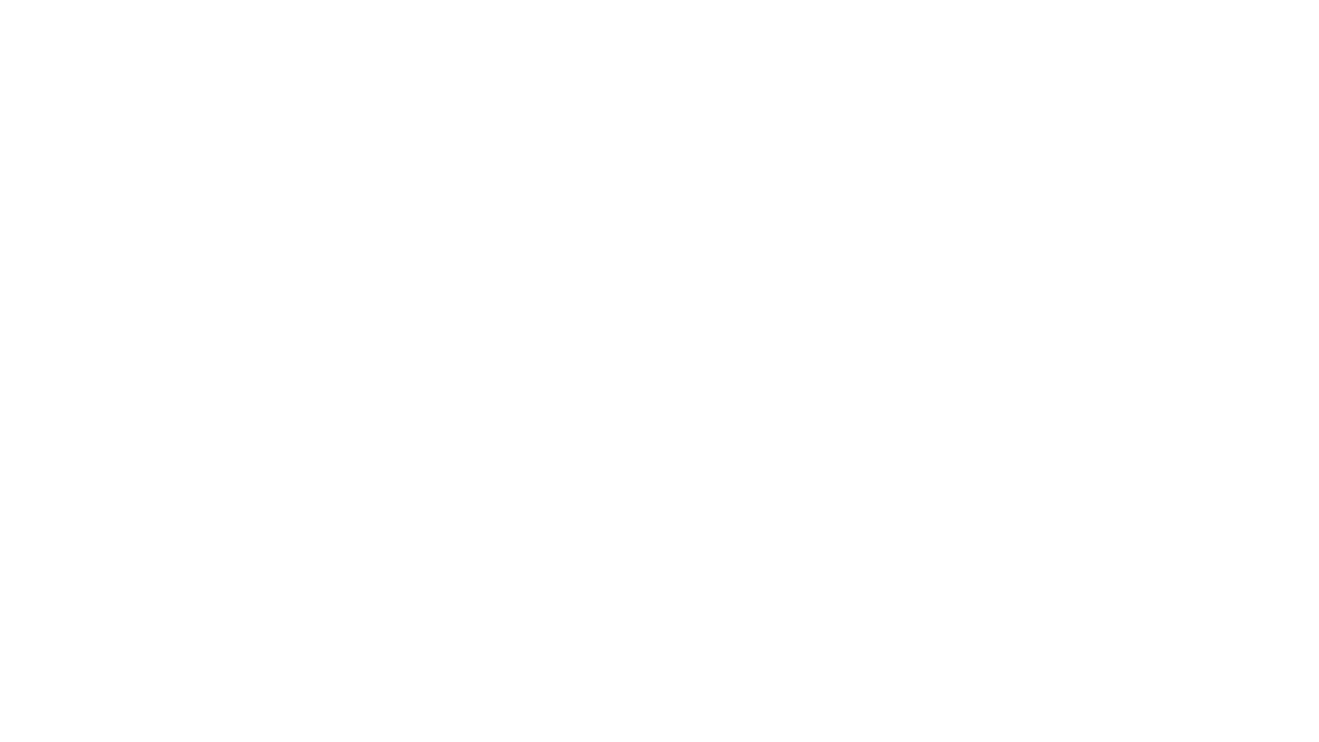 Det vilde dusin 2