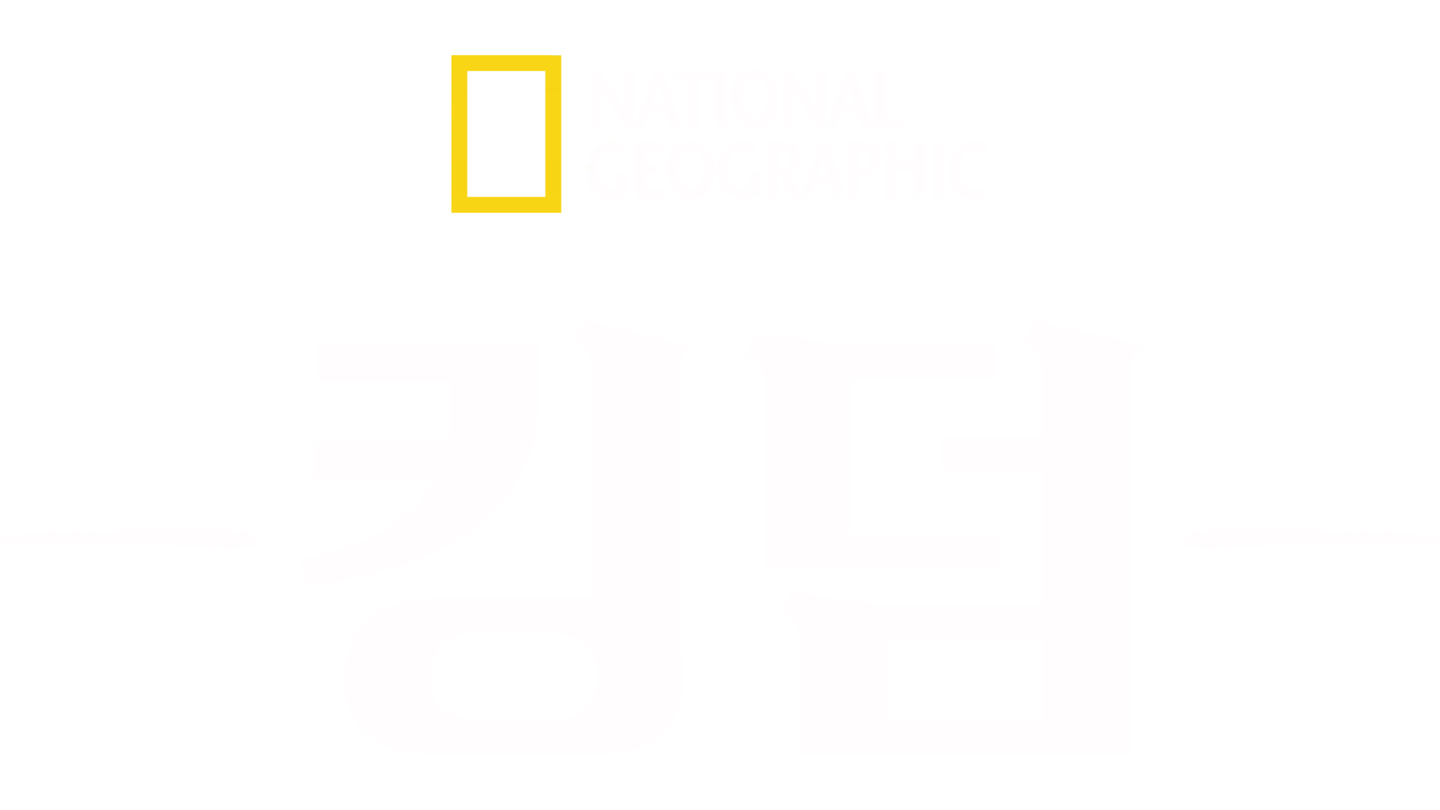 킹덤